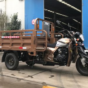China Hybrid Special Transport 65km/H 150CC Cargo Tricycle on sale