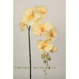 Quality Silk Orchid for sale