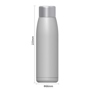500Ml 304 Stainless Steel Ultraviolet Sterilizing Water Bottle