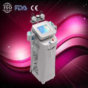 Good quality Multifunctional cryolipolysis slimming machine / zeltiq cryolipolys