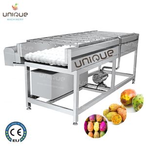 China 2021 Prickly Pear Fruit Washing Polishing Cleaning Machine with Stainless Steel 304 on sale