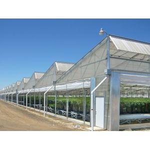 Quality Multi Span Sawtooth Greenhouse Flower Farm Greenhouse 32m-80m for sale