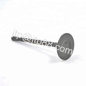 Car EH100 Diesel Engine Valve For Cumins Engine Parts 13711-1200A 13715-1350A