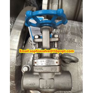 ANSI forged stainless steel globe valve