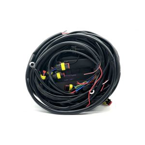 Automotive Car Wiring Harness Multiple Connector Type for Optimal 12V Performanc