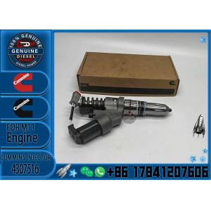 Factory OEM quality Brand New Diesel Common Rail Fuel Injector Assembly 4307516