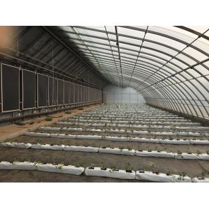 Film Covered Solar Greenhouse for Sustainable Winter Cucumber Cultivation