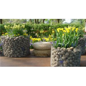 Factory Direct Supply Cheap Price Steel Matting Galvanized Welded Wire Mesh Bird