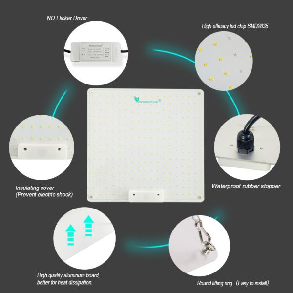 Full Spectrum Uv Ir Grow Light 100W 150W Indoor Plant Lamp Lighting Design