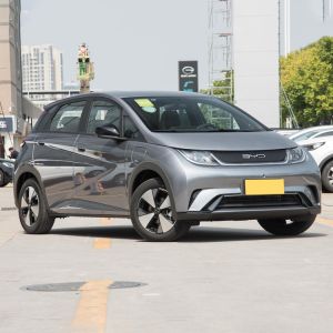 New Electric Byd Dolphin EV Hatchback 35KW Chinese Company