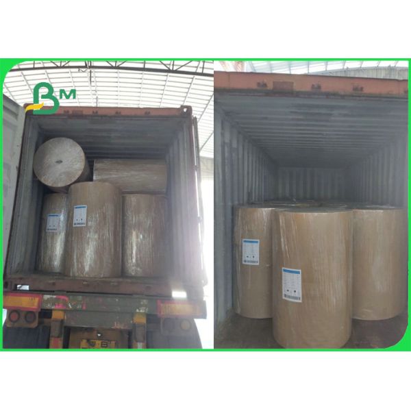 Coated Duplex Board White Surface For Shirt Lining Packaging 250gsm 300gsm 