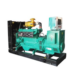 10kw-300kw Biogas Natural Gas Generator Set