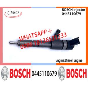 BOSCH 0445110463 0445110464 0445110577 0445110679 0445110576 Common Rail Fuel