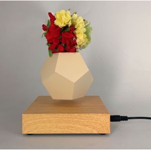 Creative Design Levitation Bonsai ,floating plant pot ,magnetic levitation