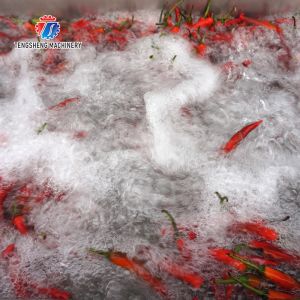 Sludge Stripping Kumquat Fruit Vegetable Washing Machine Water Pump Surfing