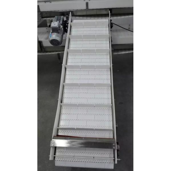 Hot Selling Plastic Mesh Belt Lifting Conveyor Food Transportation