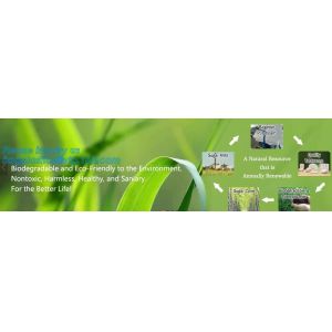 Renewable Unbleached Wheatstraw And Sugarcane Fibers Takeout Containers