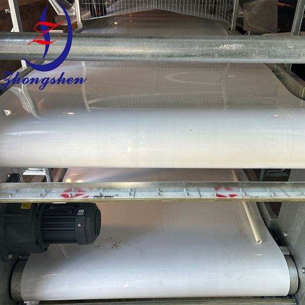 Buy Source Manufacturer Zhongshen Poultry Manure Cleaning Belt Manure Removal Belt at wholesale prices