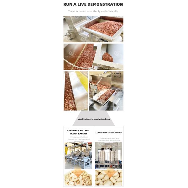 Fully Automatic Peanut Roasting Machine with Air Cooling Technology and Adjustable Temperature for Food Grade Nut Processing