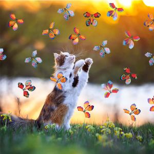 Original The Quick Fire Catchphrase Game Matt Lamination