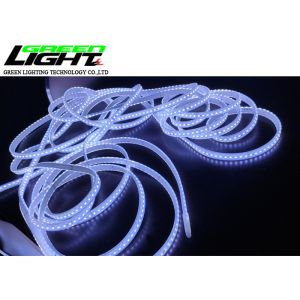 Silicon 12W 6500k 2000Lum/M LED Flexible Strip Lights
