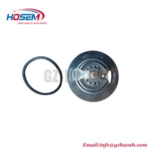 1-13770073-DC Thermostat 6BD1