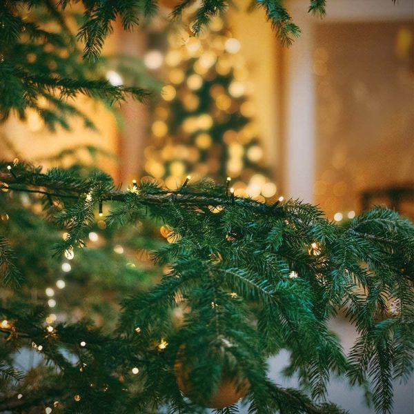 30V 5M Warm White Christmas String Lights Outdoor Connectable For Indoor Xmas Decor