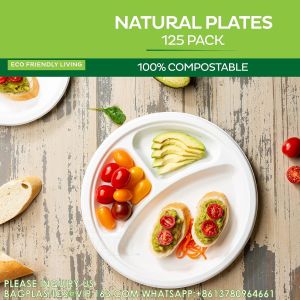 Compostable Disposable Paper Plates 10 Inch Heavy Duty, Eco-Friendly 9" Natural