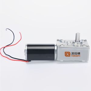 Faradyi Worm Gear Motor 12V 24V Low RPM Customizable Shaft DC Motor With Encoder