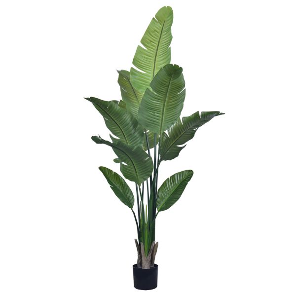 Buy Artificial Travelers Palm with Realistic Brown Leaf Edges 160cm 180cm | Lifelike Faux Bird of Paradise Plant for Decor at wholesale prices