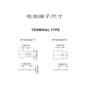 BP Series BP12-12FR 12V 12Ah VRLA Lead-Acid Rechargeable Energy Storage Battery
