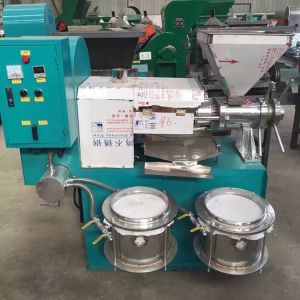 Automatic Commercial Oil Press Machine Screw Oil Presser