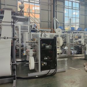 New Model Efficient Frequency Adult Diaper Production Line Export to Southeast