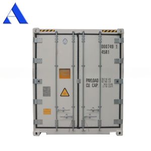40ft Reefer Deep Blast Feezer Containers Polyurethane Insulated Thermo King
