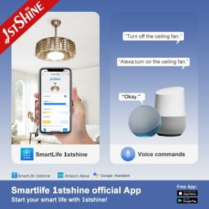 RoHS Electric Concealed Bladeless LED Ceiling Fan Wall Control