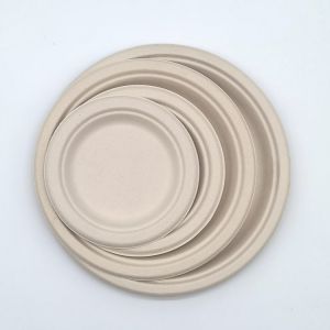 6 Inch Biodegradable Bagasse Tableware