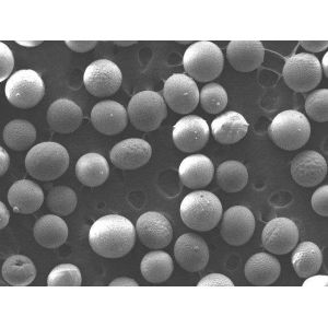 Precision Casting Special Treasure Bead Sand / Baozhu Sand Mining Machine