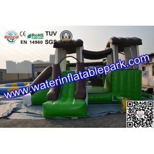 Indoor and Outdoor Inflatable Bouncy Castle with Slide