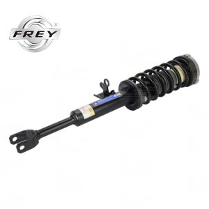5 Series F18 Front Shock Absorber Assembly Practical 31316854579