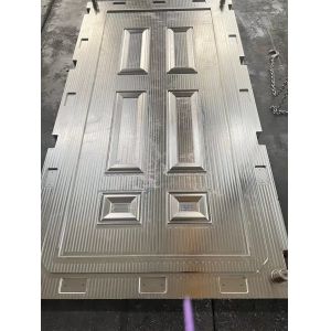 100000 Shots SMC Door Skin Mold