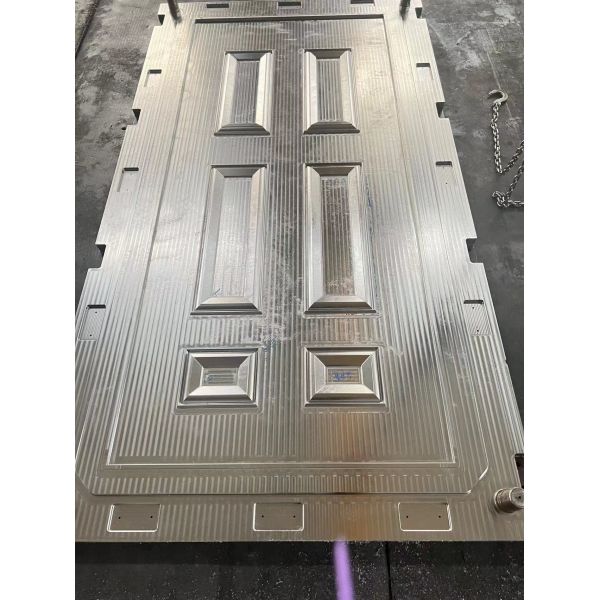 100000 Shots SMC Door Skin Mold