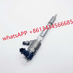 0445110333 Delphi Diesel Fuel Injectors Common Rail 28229873