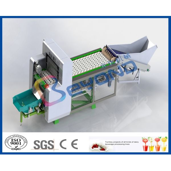 Buy Fruit Destoner Fruit Processing Equipment For Juice Manufacturing Plant at wholesale prices