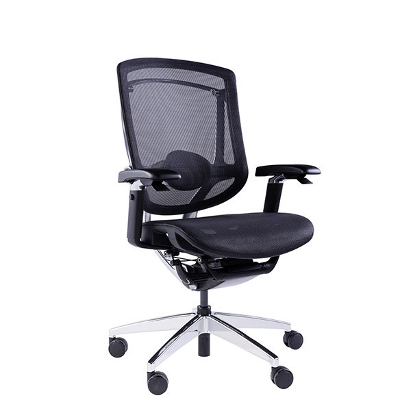 Buy Headrest Optional 5D Wire Control Armrests Computer Desk Mesh Office Chairs at wholesale prices