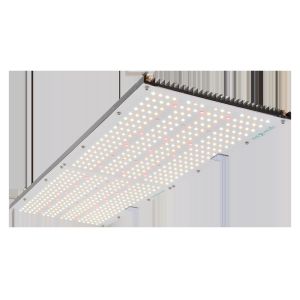 Quality 660nm 3000K High PPFD LED Grow Light for sale