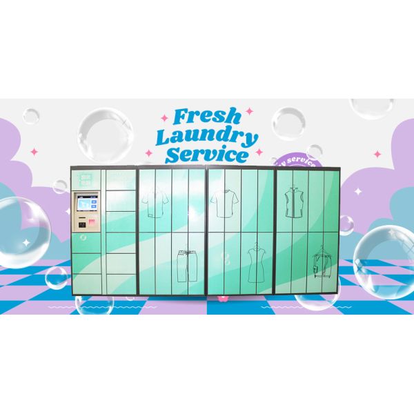 Modern Steel Smart Clothes Laundry Pickup Cabinet for Hotel School Office Furniture