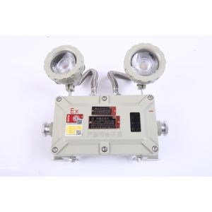 Aluminum Alloy Atex 2X3W Explosion Proof Emergency Light