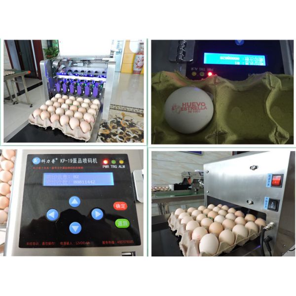 50 / 60 HZ Egg Inkjet Printer / Egg Marking Equipment With Touch Screen