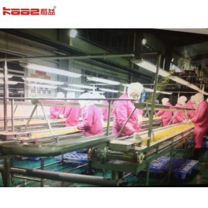 Citrus Orange Sacs NFC Juice Processing Line Lemon Juice Extraction Machine