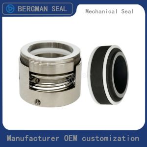 China OEM 35mm-60mm Taiwan Sanjin Chemical Pump Seal Mechanical Seal on sale
